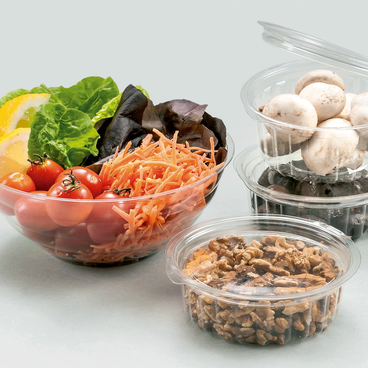 201BO16PB_ensaladeraPB