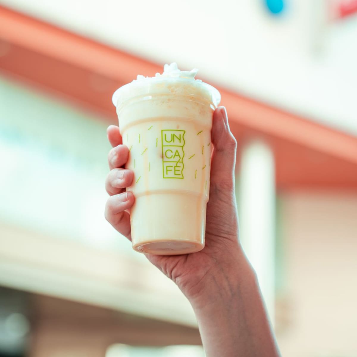 WhatsApp Image 2024-11-27 at 12.47.55